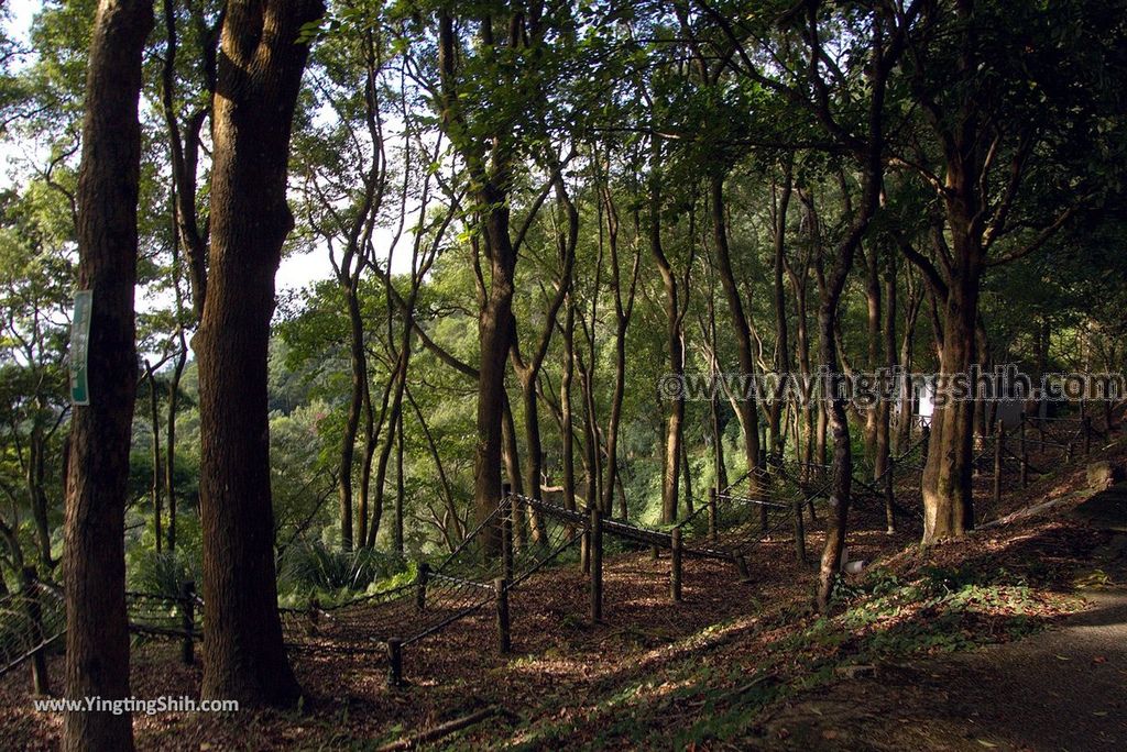 YTS_YTS_20180924_苗栗頭屋鳳鳴山遊憩區／雲洞宮／關公亭Miaoli Touwu Fengming Mountain Recreation Area116_3A5A6713.jpg