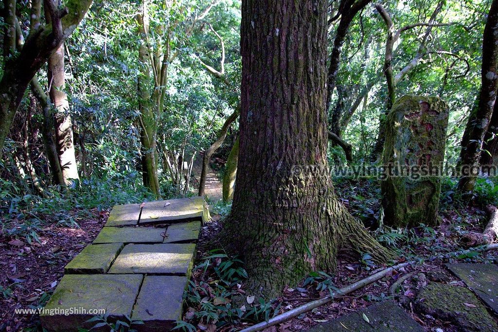 YTS_YTS_20180924_苗栗頭屋鳳鳴山遊憩區／雲洞宮／關公亭Miaoli Touwu Fengming Mountain Recreation Area148_3A5A6910.jpg