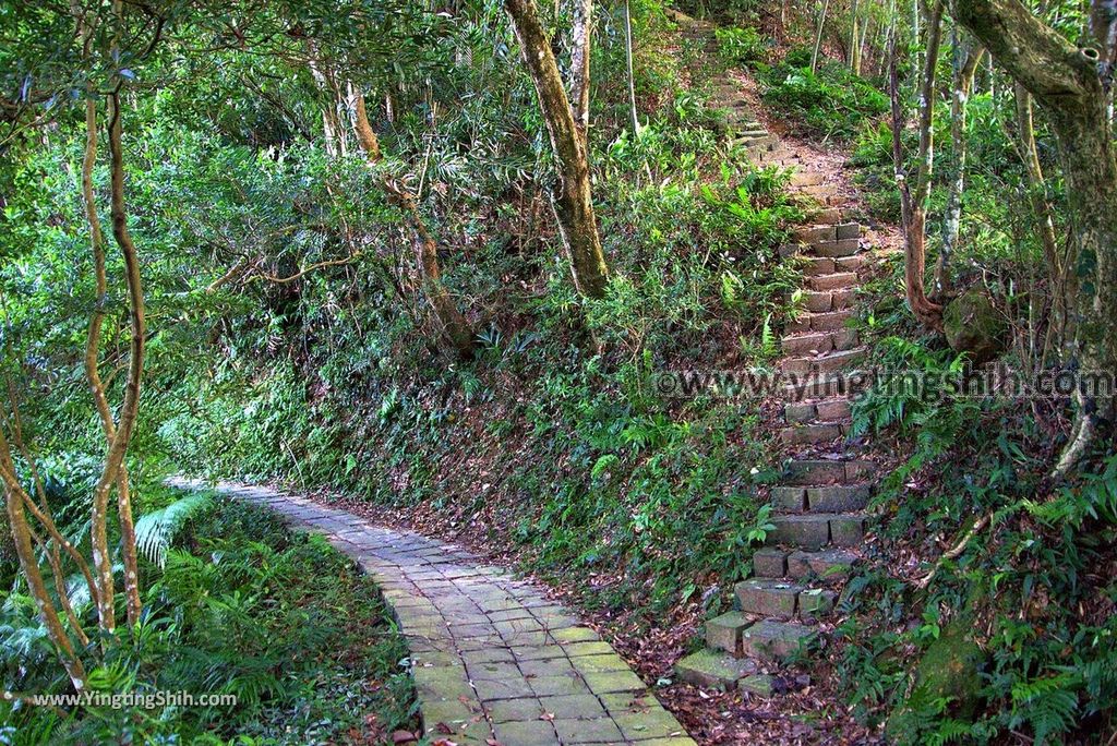 YTS_YTS_20180924_苗栗頭屋鳳鳴山遊憩區／雲洞宮／關公亭Miaoli Touwu Fengming Mountain Recreation Area153_3A5A6943.jpg