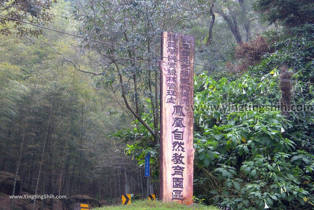 YTS_YTS_20190112_南投鹿谷國立自然科學博物館鳳凰谷鳥園／萬年亨衢Nantou Lugu Fenghuanggu Bird and Ecological Park004_3A5A1568.jpg