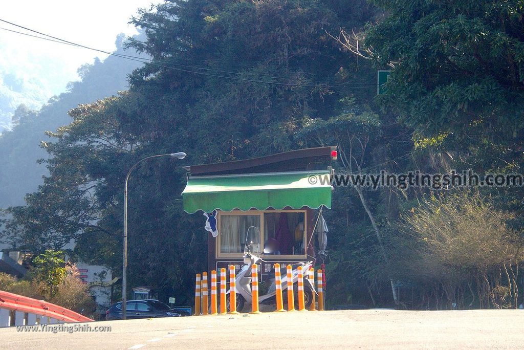 YTS_YTS_20190112_南投鹿谷國立自然科學博物館鳳凰谷鳥園／萬年亨衢Nantou Lugu Fenghuanggu Bird and Ecological Park008_3A5A7966.jpg