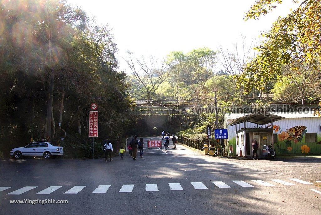 YTS_YTS_20190112_南投鹿谷國立自然科學博物館鳳凰谷鳥園／萬年亨衢Nantou Lugu Fenghuanggu Bird and Ecological Park042_3A5A8180.jpg