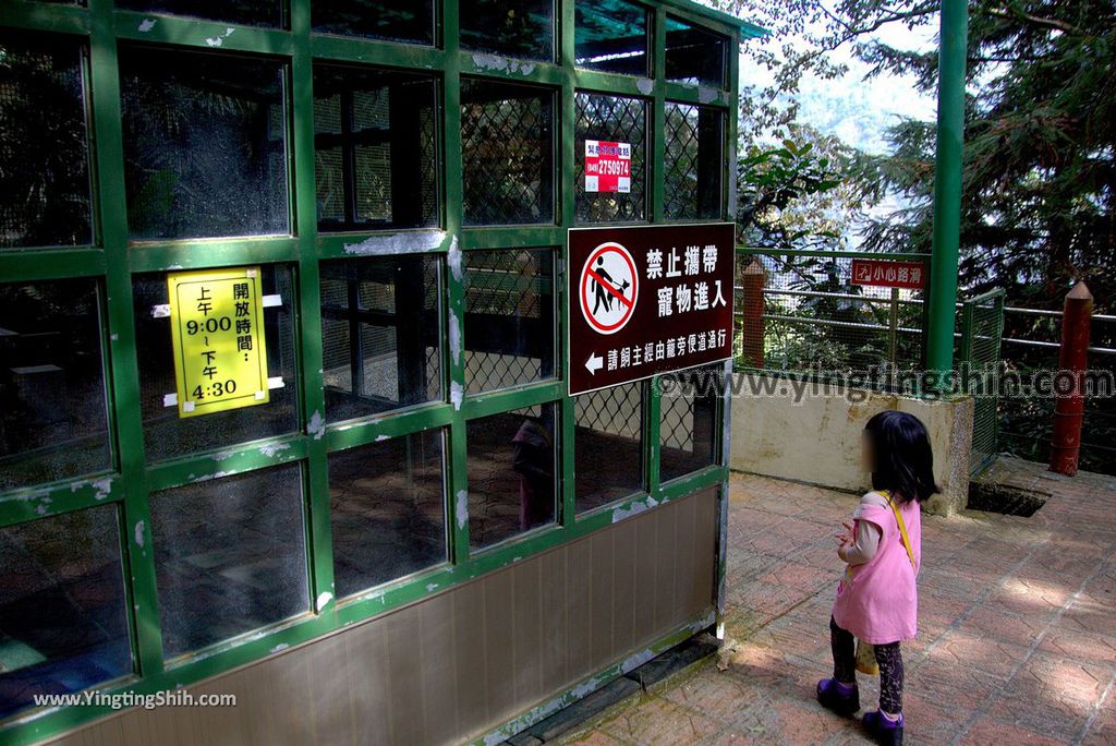 YTS_YTS_20190112_南投鹿谷國立自然科學博物館鳳凰谷鳥園／萬年亨衢Nantou Lugu Fenghuanggu Bird and Ecological Park150_3A5A9790.jpg