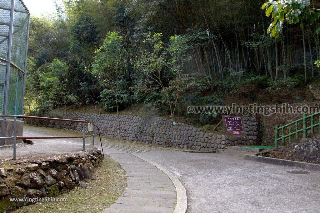 YTS_YTS_20190112_南投鹿谷國立自然科學博物館鳳凰谷鳥園／萬年亨衢Nantou Lugu Fenghuanggu Bird and Ecological Park200_3A5A0393.jpg