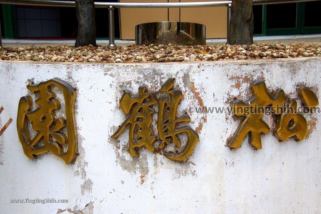 YTS_YTS_20190112_南投鹿谷國立自然科學博物館鳳凰谷鳥園／萬年亨衢Nantou Lugu Fenghuanggu Bird and Ecological Park233_3A5A0632.jpg