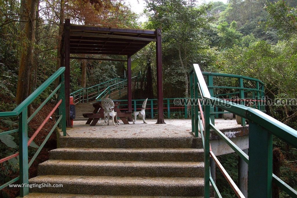 YTS_YTS_20190112_南投鹿谷國立自然科學博物館鳳凰谷鳥園／萬年亨衢Nantou Lugu Fenghuanggu Bird and Ecological Park301_3A5A0954.jpg