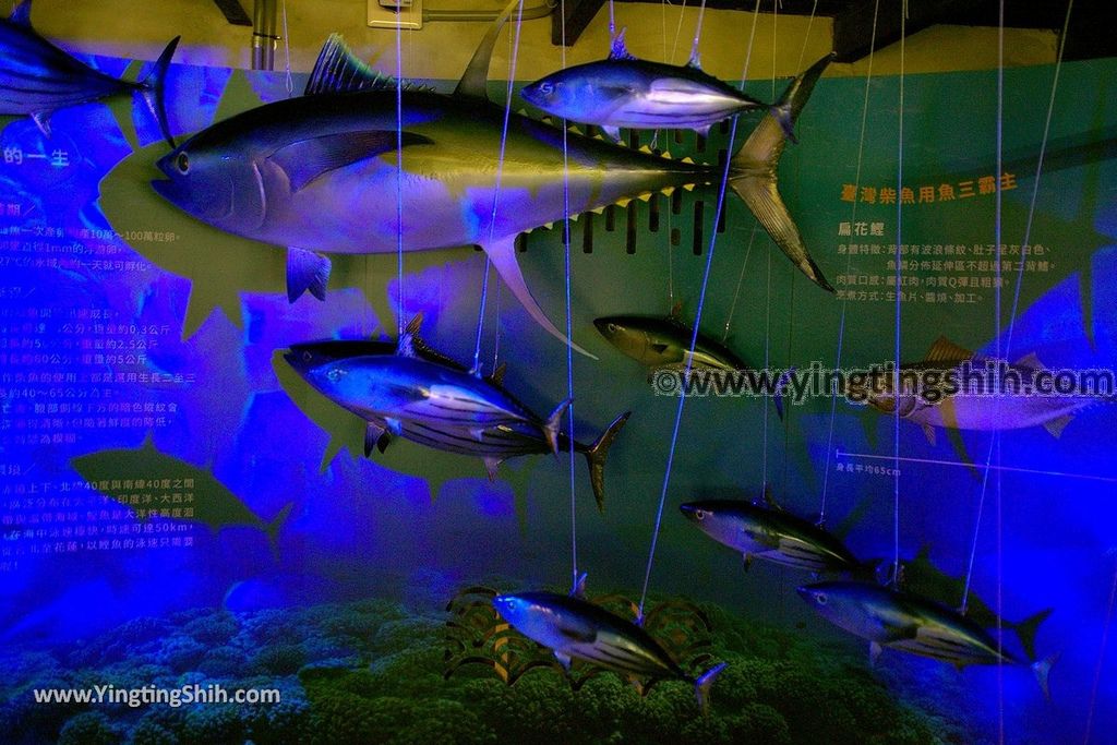 YTS_YTS_20190629_花蓮新城七星柴魚博物館／黑潮曼波商店Hualien Xincheng Chisingtan Katsuo Museum082_539A1135.jpg