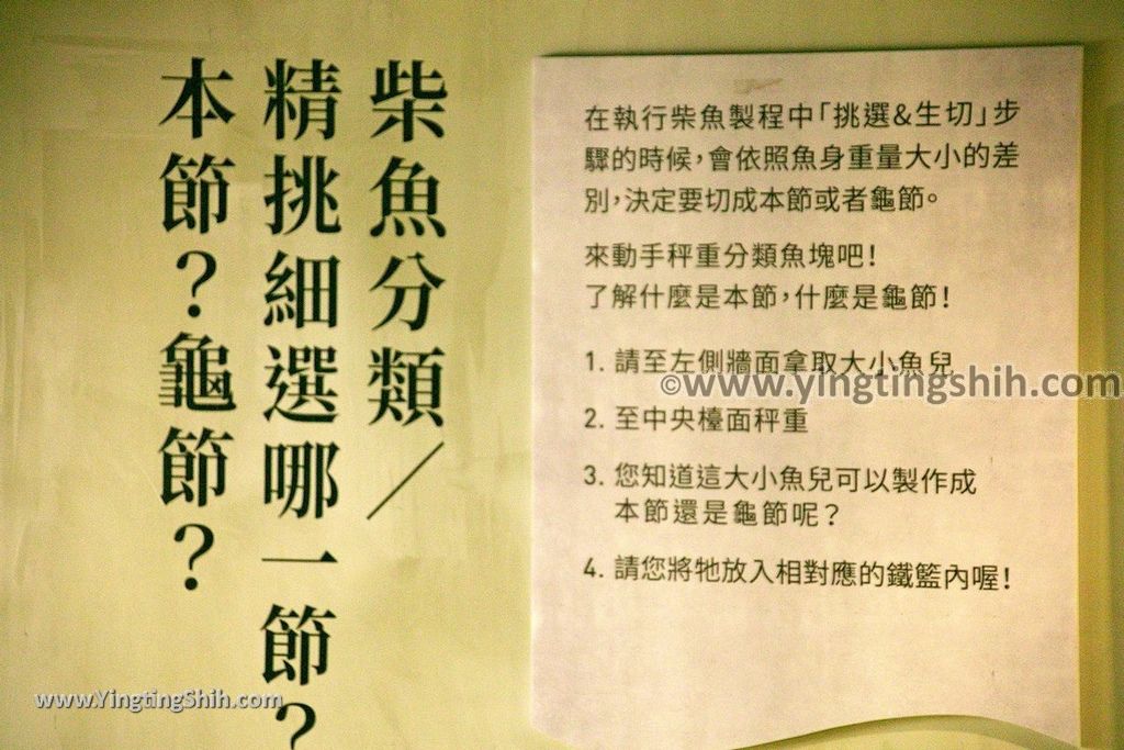 YTS_YTS_20190629_花蓮新城七星柴魚博物館／黑潮曼波商店Hualien Xincheng Chisingtan Katsuo Museum103_539A1157.jpg