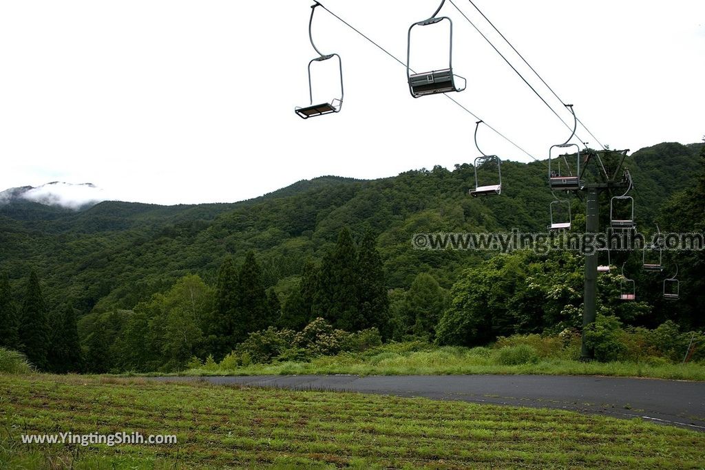 YTS_YTS_20190712_日本東北山形面白山紅葉川渓谷／藤花の滝／仙山淵Japan Tohoku Yamagata Omoshiroyamakogen／Cosmos Berg004_539A6103.jpg