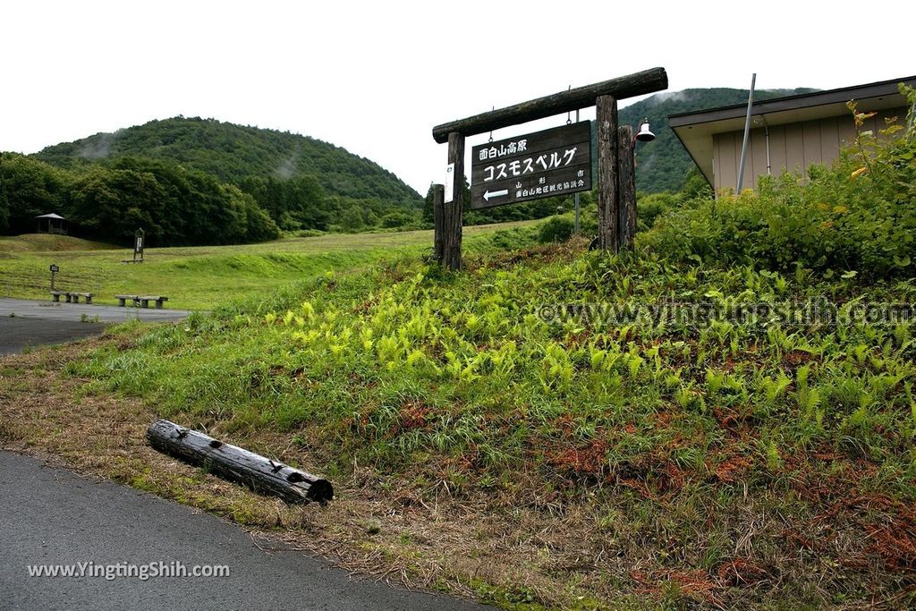 YTS_YTS_20190712_日本東北山形面白山紅葉川渓谷／藤花の滝／仙山淵Japan Tohoku Yamagata Omoshiroyamakogen／Cosmos Berg010_539A6109.jpg