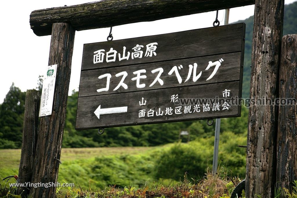 YTS_YTS_20190712_日本東北山形面白山紅葉川渓谷／藤花の滝／仙山淵Japan Tohoku Yamagata Omoshiroyamakogen／Cosmos Berg011_539A6110.jpg