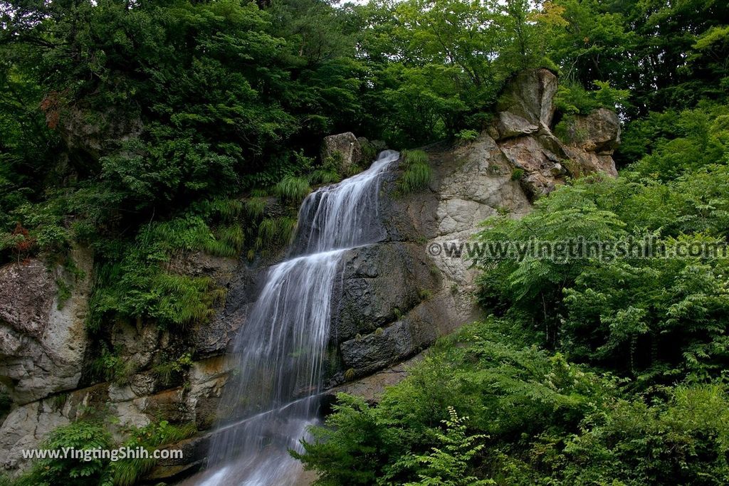 YTS_YTS_20190712_日本東北山形面白山紅葉川渓谷／藤花の滝／仙山淵Japan Tohoku Yamagata Omoshiroyamakogen／Cosmos Berg048_539A6628.jpg