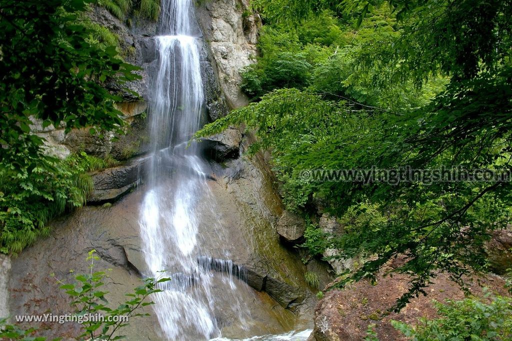 YTS_YTS_20190712_日本東北山形面白山紅葉川渓谷／藤花の滝／仙山淵Japan Tohoku Yamagata Omoshiroyamakogen／Cosmos Berg056_539A6497.jpg