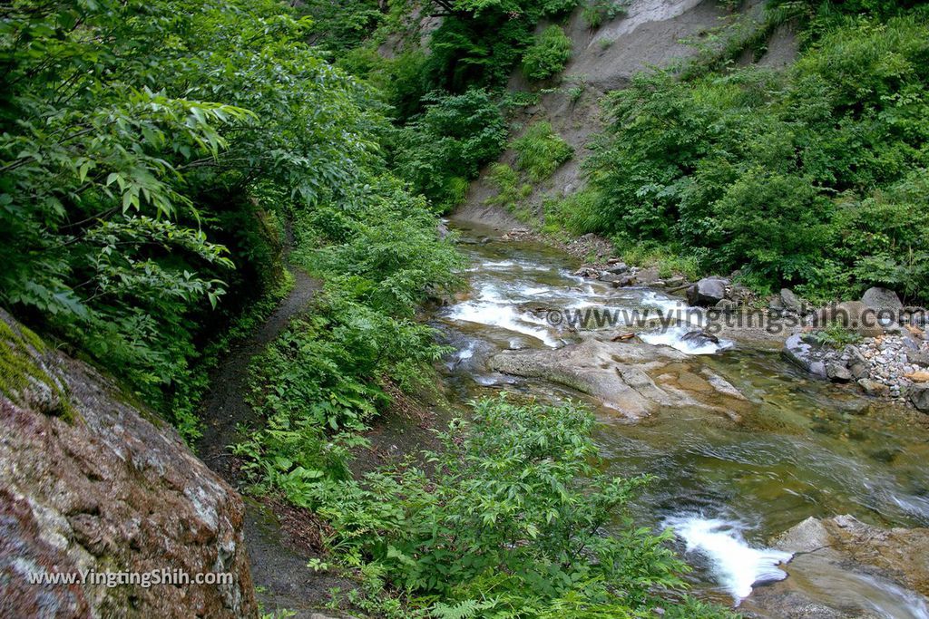 YTS_YTS_20190712_日本東北山形面白山紅葉川渓谷／藤花の滝／仙山淵Japan Tohoku Yamagata Omoshiroyamakogen／Cosmos Berg060_539A6521.jpg