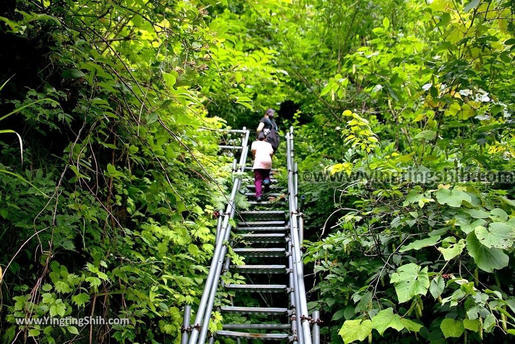 YTS_YTS_20190712_日本東北山形面白山紅葉川渓谷／藤花の滝／仙山淵Japan Tohoku Yamagata Omoshiroyamakogen／Cosmos Berg065_539A6645.jpg