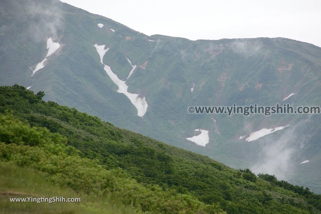 YTS_YTS_20190714_日本山形鶴岡月山八合目／月山神社中之宮／彌陀ヶ原Japan Yamagata Tsuruoka Midagahara Marsh008_539A1047.jpg