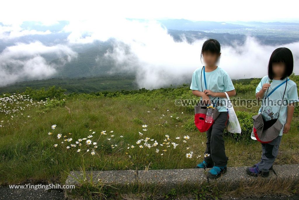 YTS_YTS_20190714_日本山形鶴岡月山八合目／月山神社中之宮／彌陀ヶ原Japan Yamagata Tsuruoka Midagahara Marsh007_539A1056.jpg