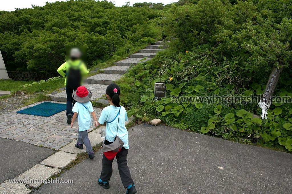 YTS_YTS_20190714_日本山形鶴岡月山八合目／月山神社中之宮／彌陀ヶ原Japan Yamagata Tsuruoka Midagahara Marsh027_539A0720.jpg