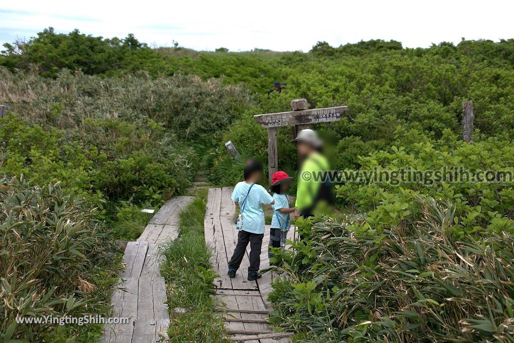 YTS_YTS_20190714_日本山形鶴岡月山八合目／月山神社中之宮／彌陀ヶ原Japan Yamagata Tsuruoka Midagahara Marsh066_539A0925.jpg