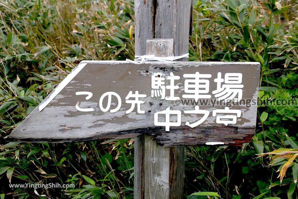 YTS_YTS_20190714_日本山形鶴岡月山八合目／月山神社中之宮／彌陀ヶ原Japan Yamagata Tsuruoka Midagahara Marsh074_539A0930.jpg