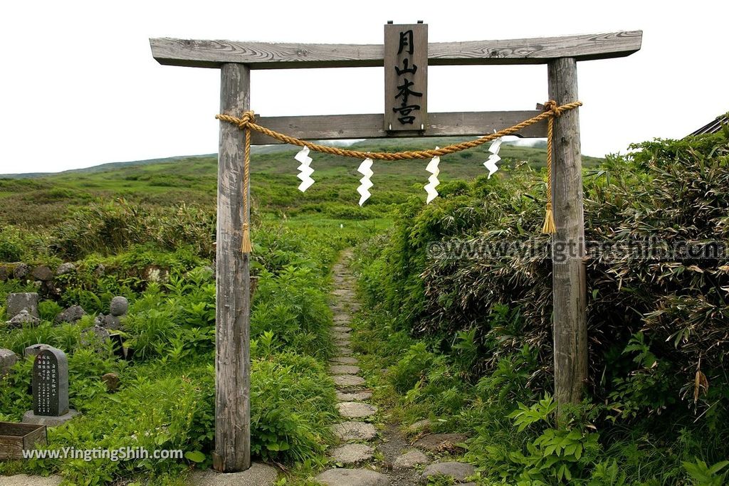 YTS_YTS_20190714_日本山形鶴岡月山八合目／月山神社中之宮／彌陀ヶ原Japan Yamagata Tsuruoka Midagahara Marsh082_539A0970.jpg