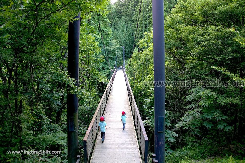 YTS_YTS_20190715_日本東北秋田奈曽の白滝／金峯神社Japan Tohoku Akita Naso Waterfall／Kinbo Shrine024_539A3885.jpg