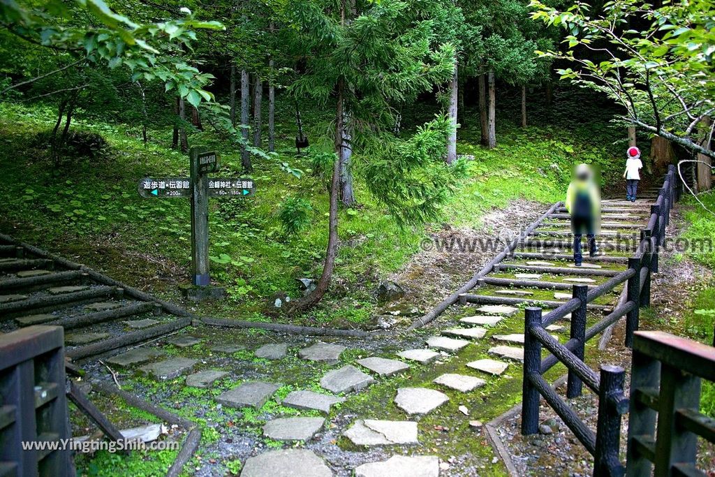 YTS_YTS_20190715_日本東北秋田奈曽の白滝／金峯神社Japan Tohoku Akita Naso Waterfall／Kinbo Shrine028_539A3929.jpg