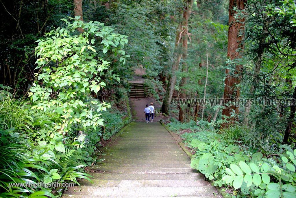 YTS_YTS_20190715_日本東北秋田奈曽の白滝／金峯神社Japan Tohoku Akita Naso Waterfall／Kinbo Shrine043_539A3997.jpg