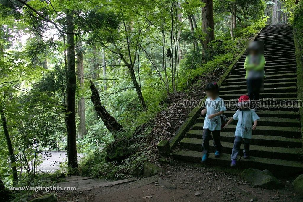 YTS_YTS_20190715_日本東北秋田奈曽の白滝／金峯神社Japan Tohoku Akita Naso Waterfall／Kinbo Shrine044_539A4000.jpg