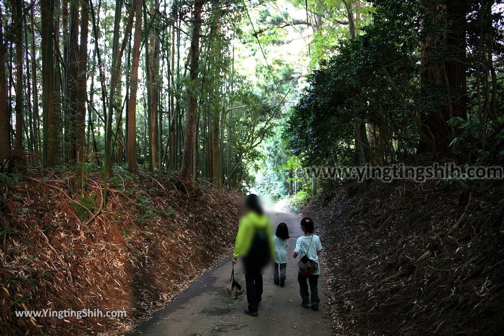 YTS_YTS_20190715_日本東北秋田奈曽の白滝／金峯神社Japan Tohoku Akita Naso Waterfall／Kinbo Shrine081_539A4525.jpg