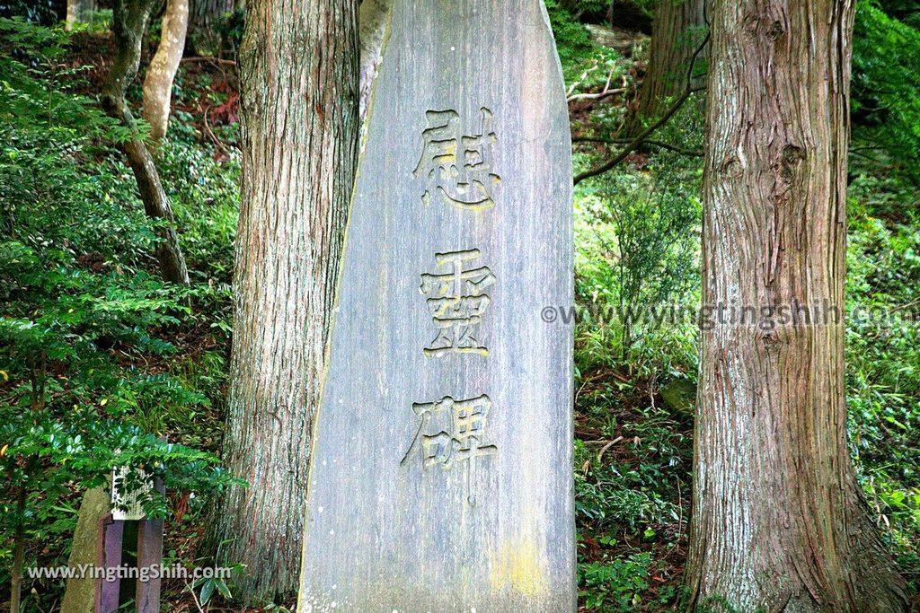 YTS_YTS_20190715_日本東北秋田奈曽の白滝／金峯神社Japan Tohoku Akita Naso Waterfall／Kinbo Shrine090_539A4528.jpg