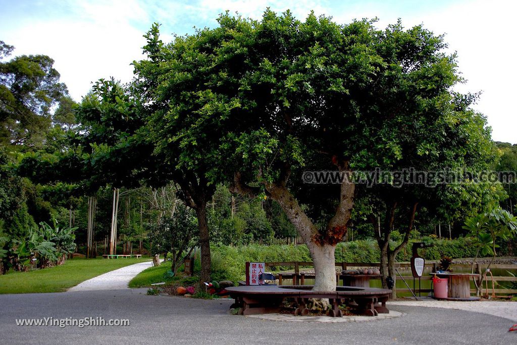 YTS_YTS_20190704_苗栗造橋桉心園／龍昇生態園區Miaoli Zaoqiao Longsheng Ecological Park019_539A2889.jpg