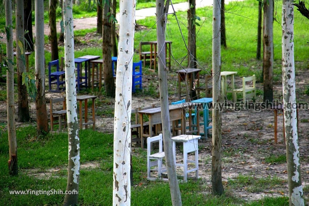 YTS_YTS_20190704_苗栗造橋桉心園／龍昇生態園區Miaoli Zaoqiao Longsheng Ecological Park032_539A2903.jpg