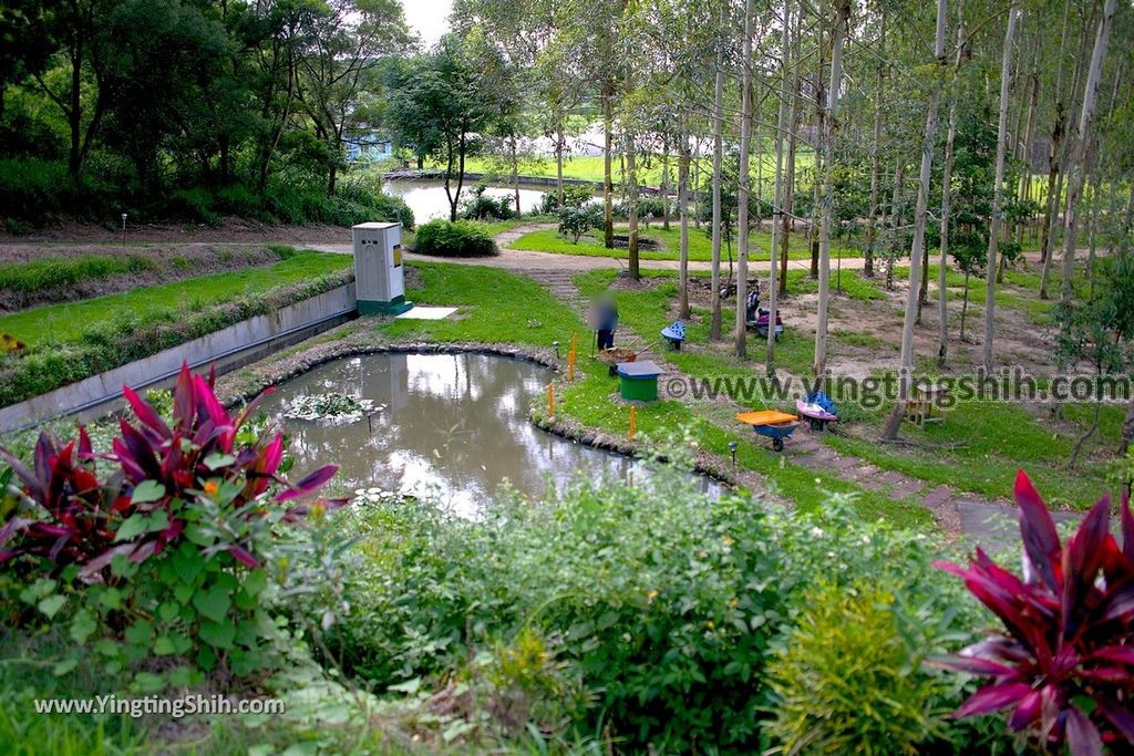 YTS_YTS_20190704_苗栗造橋桉心園／龍昇生態園區Miaoli Zaoqiao Longsheng Ecological Park031_539A2902.jpg