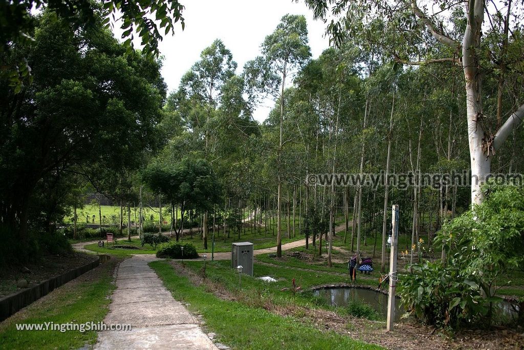 YTS_YTS_20190704_苗栗造橋桉心園／龍昇生態園區Miaoli Zaoqiao Longsheng Ecological Park033_539A2905.jpg