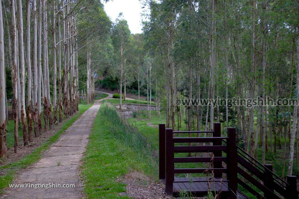 YTS_YTS_20190704_苗栗造橋桉心園／龍昇生態園區Miaoli Zaoqiao Longsheng Ecological Park035_539A2953.jpg