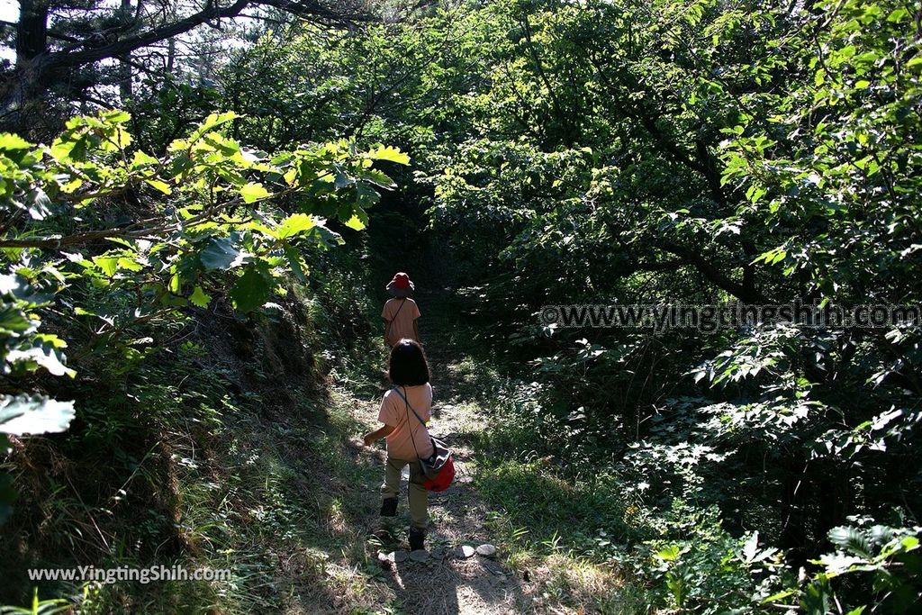 YTS_YTS_20190717_日本東北青森賽の河原Japan Tohoku Aomori Sainokawara／Tempered river017_539A8266.jpg