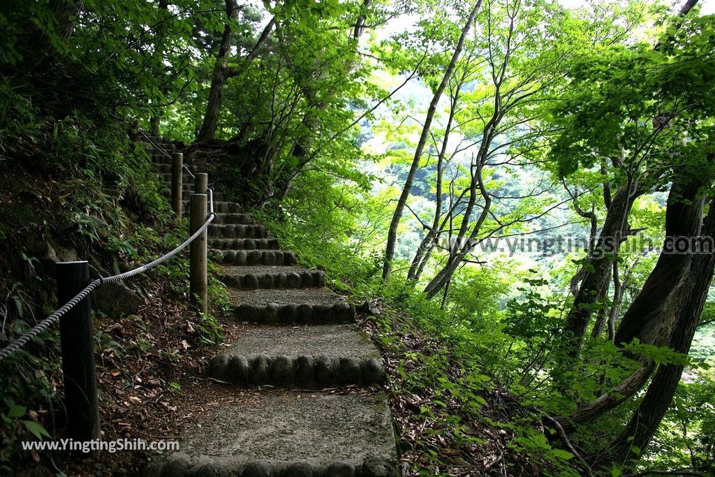 YTS_YTS_20190718_日本東北秋田日本瀑布百選第14名／法体の滝Japan Tohoku Akita Hottai Falls041_539A0671.jpg