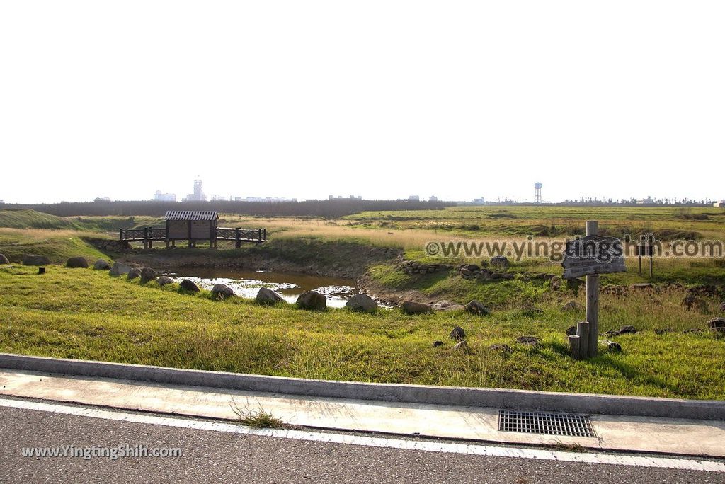 YTS_YTS_20180405_澎湖西嶼水牛群像／二崁地區水資源生態池Penghu Xiyu Ecological Pool001_3A5A8552.jpg