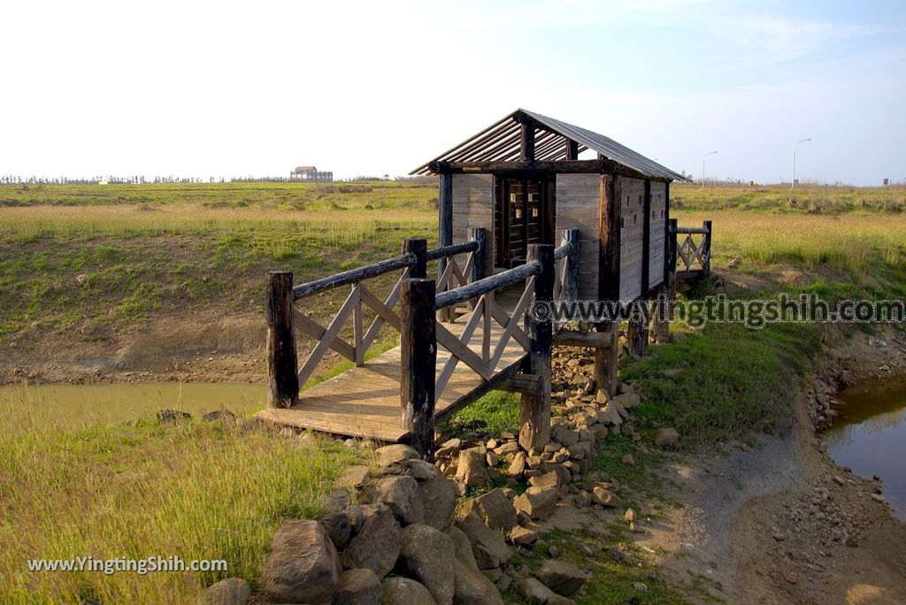 YTS_YTS_20180405_澎湖西嶼水牛群像／二崁地區水資源生態池Penghu Xiyu Ecological Pool017_3A5A8427.jpg