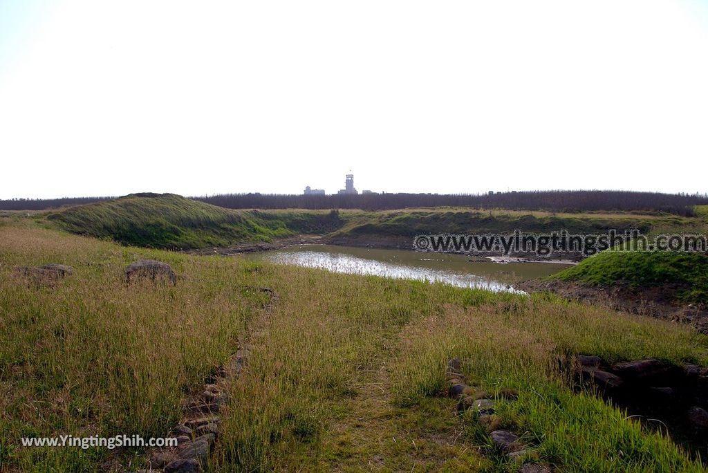 YTS_YTS_20180405_澎湖西嶼水牛群像／二崁地區水資源生態池Penghu Xiyu Ecological Pool018_3A5A8423.jpg