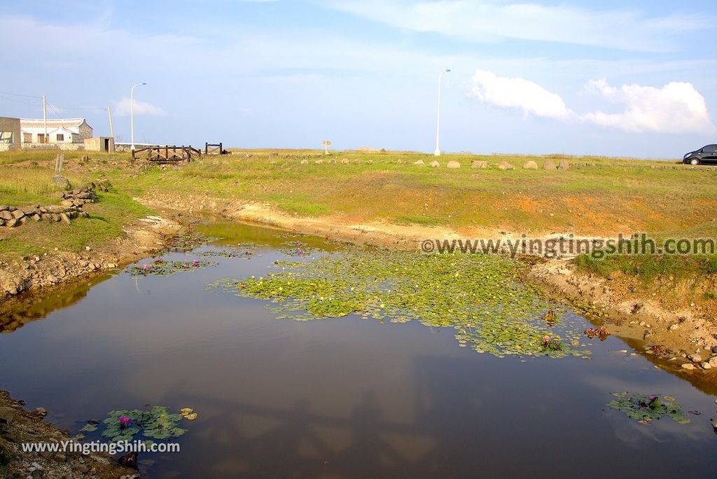 YTS_YTS_20180405_澎湖西嶼水牛群像／二崁地區水資源生態池Penghu Xiyu Ecological Pool023_3A5A8451.jpg