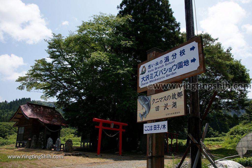 YTS_YTS_20190720_日本東北秋田田沢湖／町立生保內小學校潟分校Japan Tohoku Akita Omoide-no Kata Branch School002_539A2960.jpg