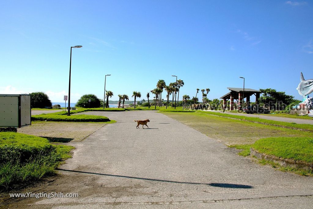 YTS_YTS_20190629_花蓮新城193黑森林小徑／德燕濱海植物區Hualien Xincheng Deryen Beach008_539A5242.jpg