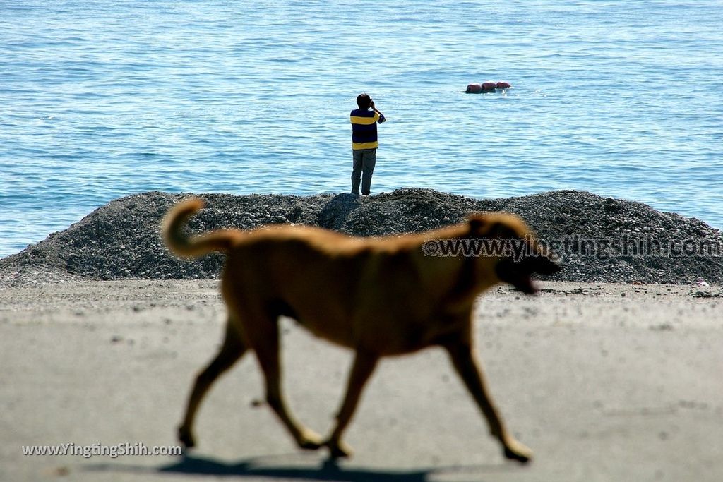 YTS_YTS_20190629_花蓮新城193黑森林小徑／德燕濱海植物區Hualien Xincheng Deryen Beach036_539A5238.jpg