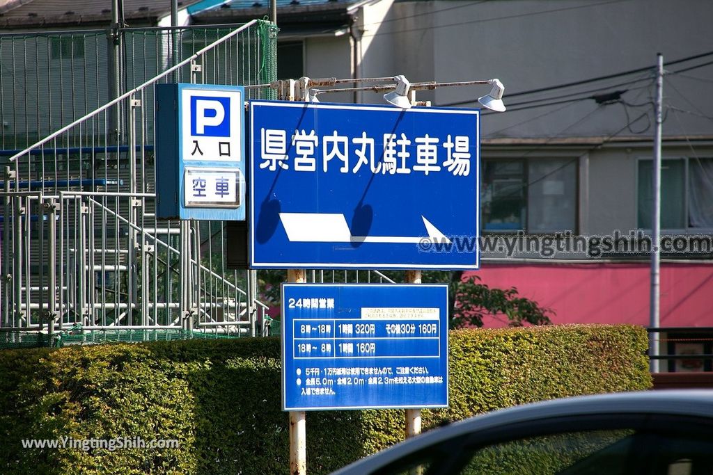 YTS_YTS_20190725_日本東北岩手盛岡石割桜Japan Tohoku Iwate The Rock Splitting Cherry Tree004_539A3343.jpg