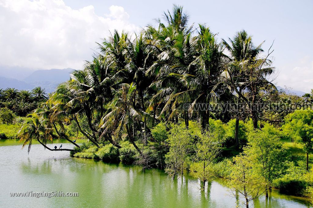 YTS_YTS_20190701_花蓮壽豐雲山水城堡／夢幻湖／跳石／有熊的森林Hualien Shoufeng Cloud Mountain and Water078_539A0267.jpg