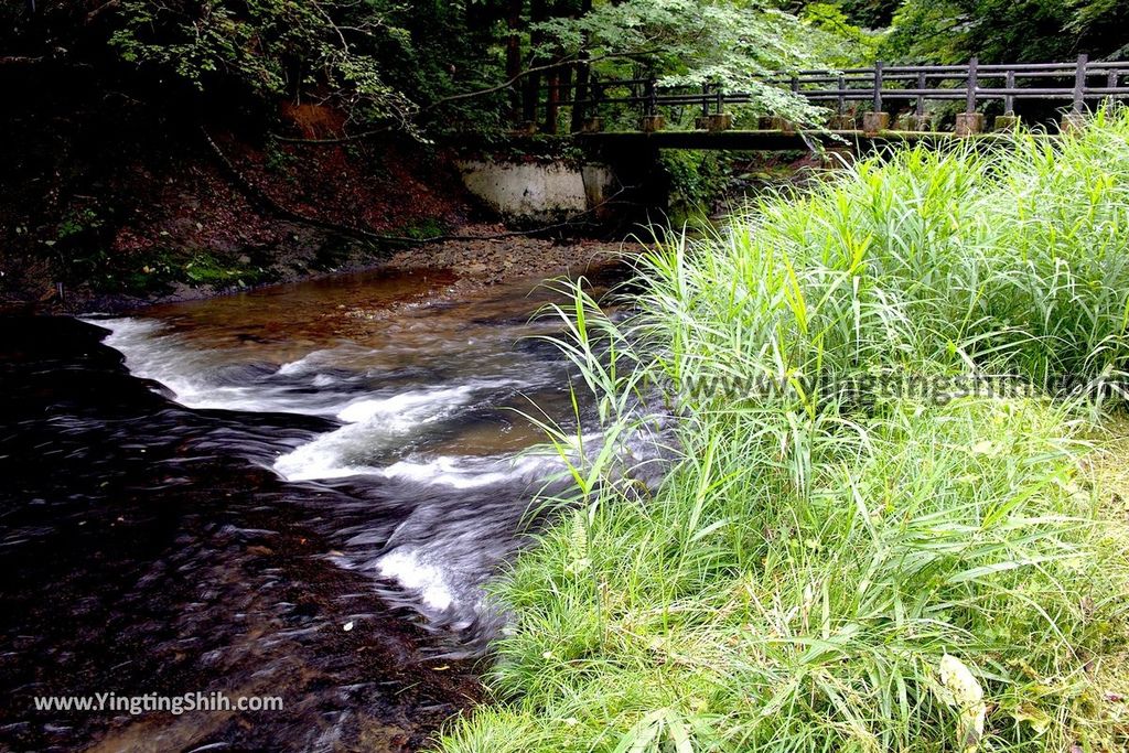 YTS_YTS_20190724_日本東北岩手花巻温泉釜淵の滝／月見橋／滝見橋Japan Tohoku Iwate Kamabuchi Waterfall026_539A0079.jpg