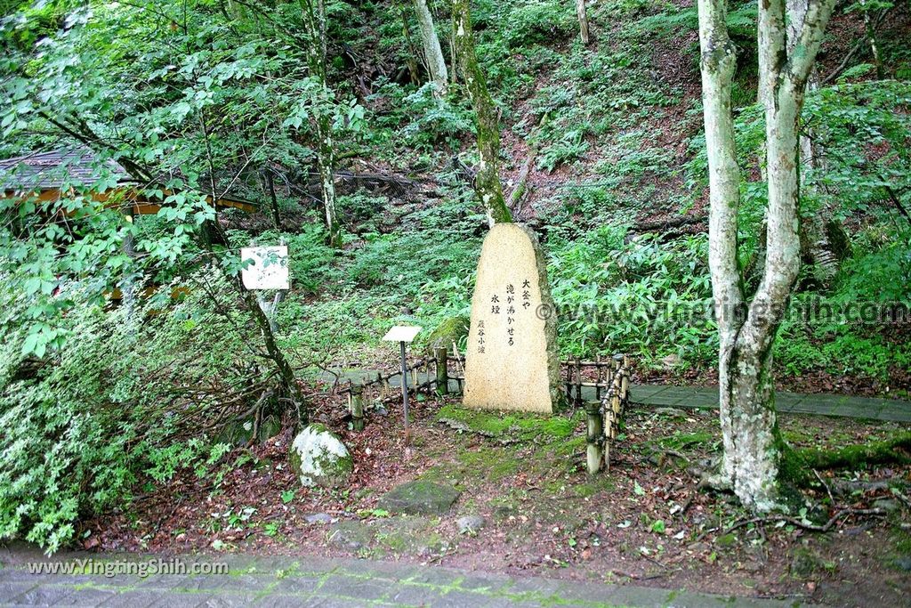 YTS_YTS_20190724_日本東北岩手花巻温泉釜淵の滝／月見橋／滝見橋Japan Tohoku Iwate Kamabuchi Waterfall036_539A9714.jpg