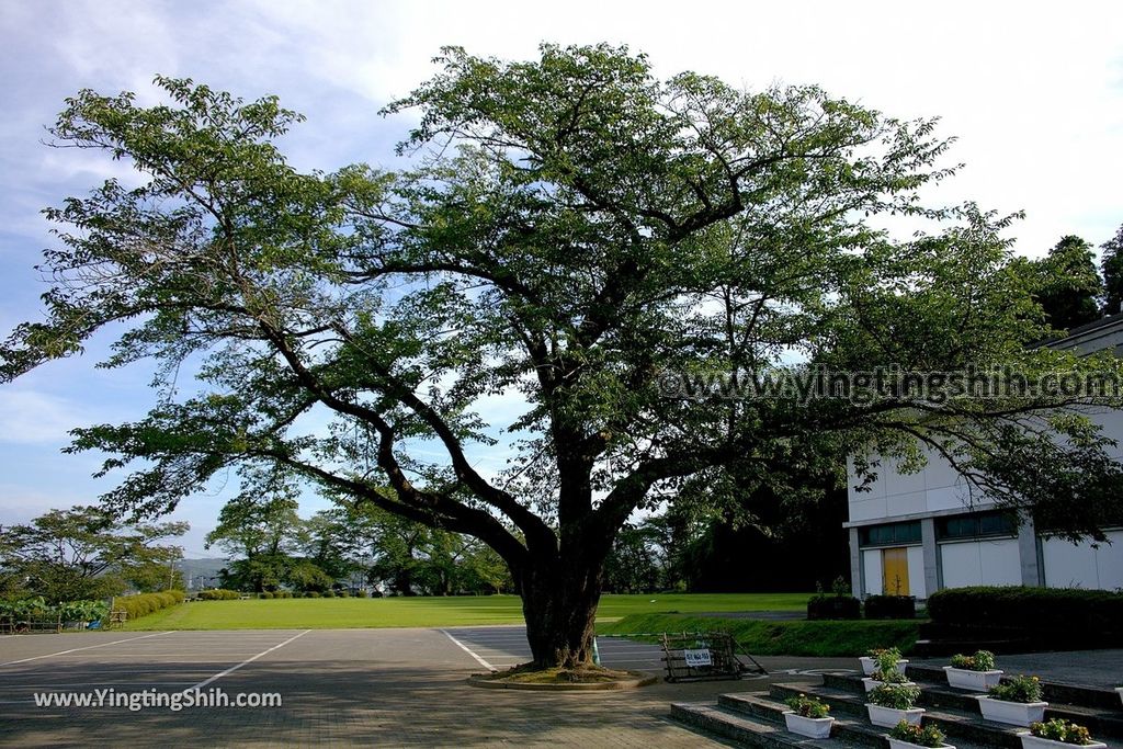 YTS_YTS_20190727_日本東北岩手平泉文化遺產中心Japan Tohoku Iwate Hiraizumi Cultural Heritage Center009_539A7820.jpg